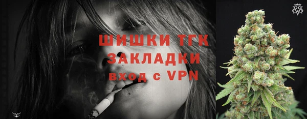 винт Дмитриев