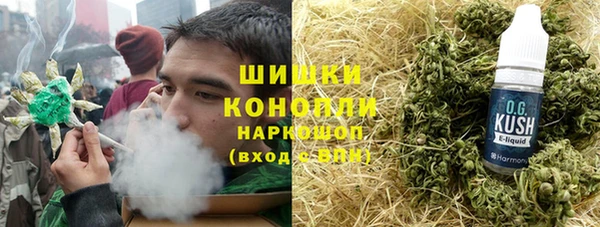 винт Дмитриев