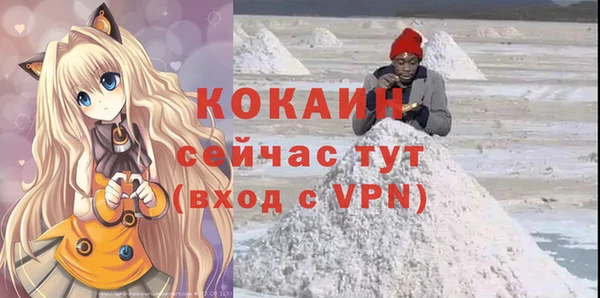 винт Дмитриев
