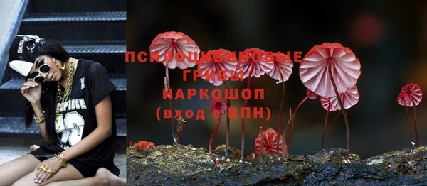 винт Дмитриев