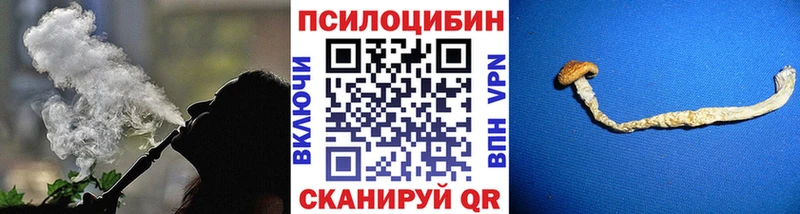 Купить Новопавловск Псилоцибиновые грибы мицелий