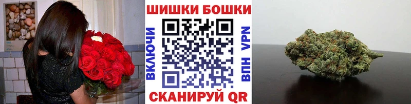 Купить где  Новопавловск  Шишки марихуана ГИДРОПОН 